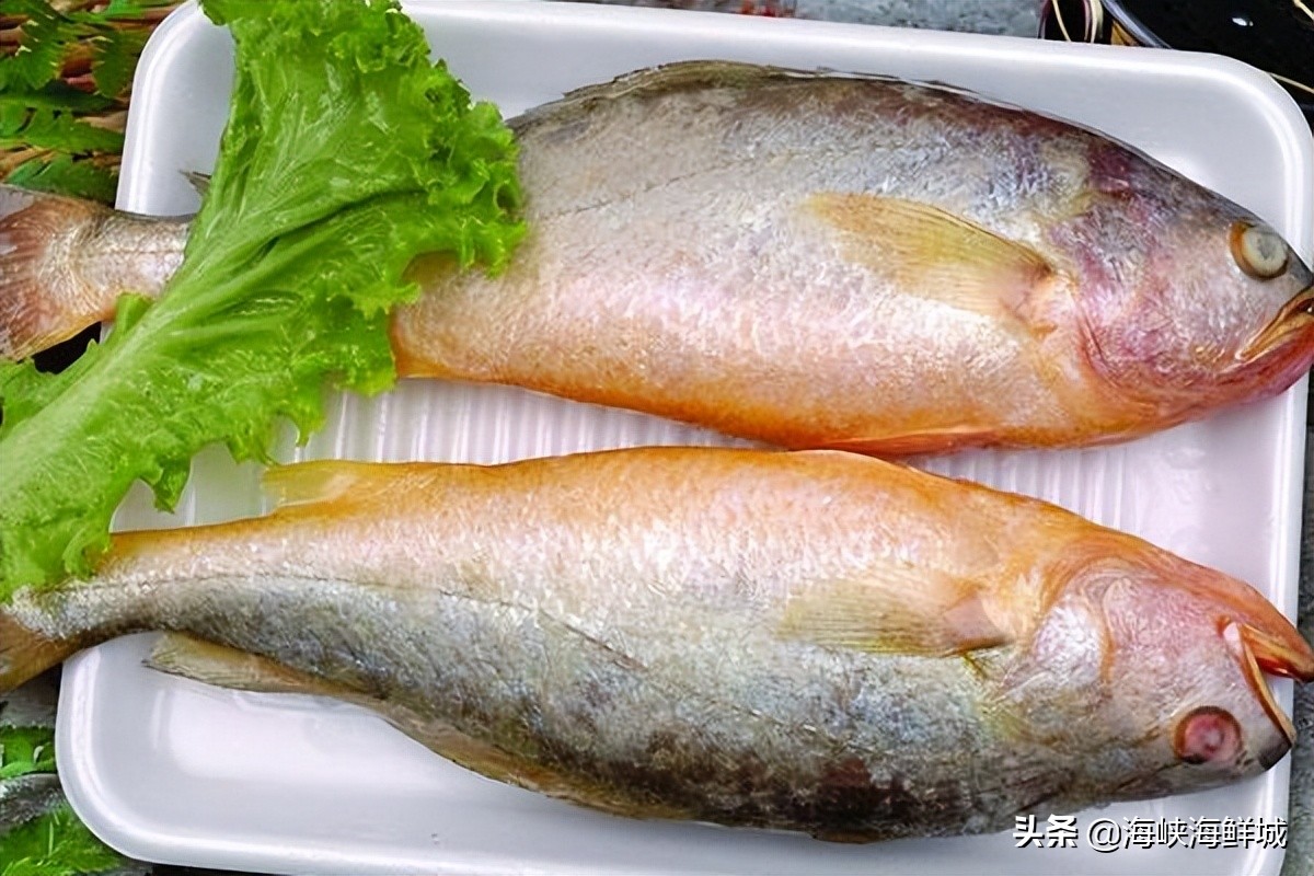 黄花鱼怎么做最好吃清蒸黄花鱼,小黄花鱼的家常做法清蒸黄花鱼