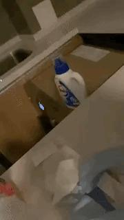 涔濅釜鍔ㄤ綔濮垮娍鎽嗘媿,涔濅釜鎵嬪娍鍔ㄤ綔