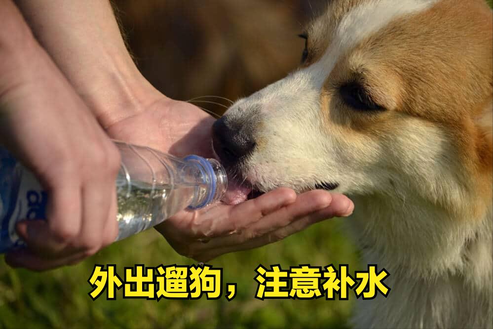 炎炎夏日中暑如何急救,炎炎夏日中暑