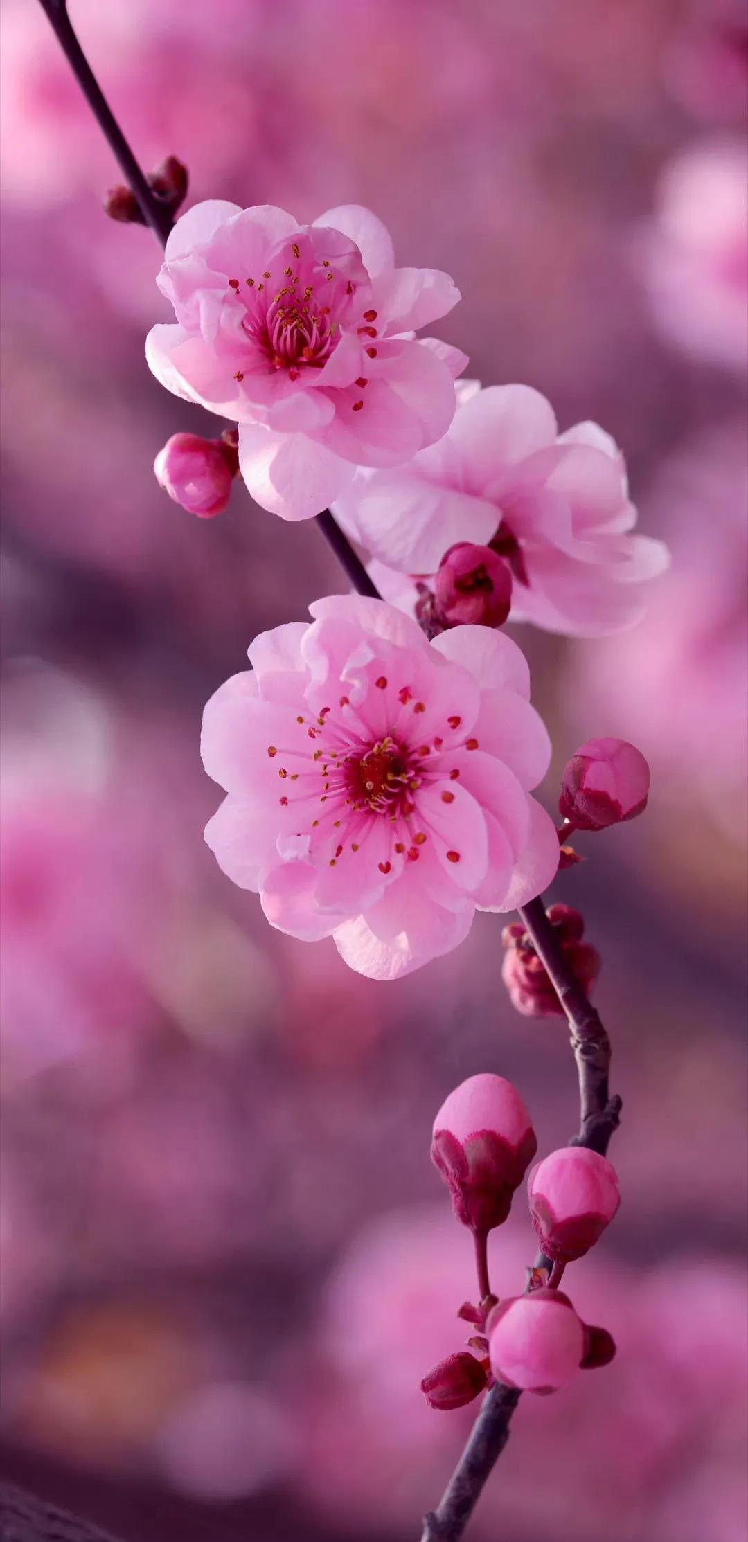 吃云吞的视频完整版,吃云吞多加调料被老板打了