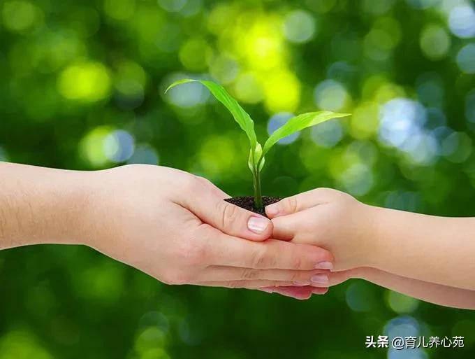 孩子被同学欺负了应该怎样,孩子被欺负妈妈在旁边正确做法