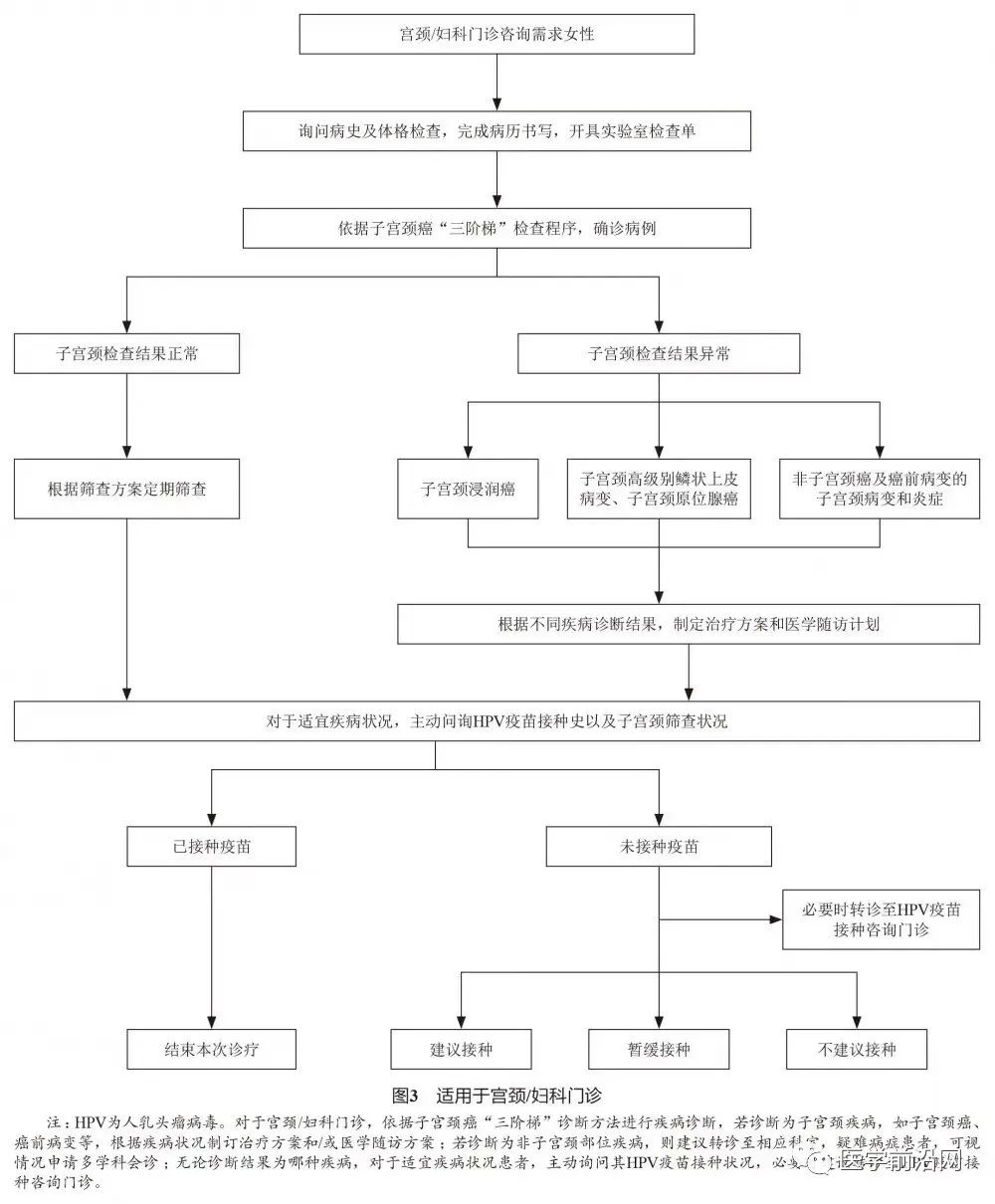 国际HPV知晓日｜隋龙教授4个问答带您读懂HPV及其疫苗的方方面面