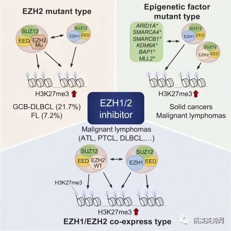 绗竴涓夊叡adc浜у搧鑾锋壒涓村簥,绗竴涓夊叡鏍紡浼氱ぞ