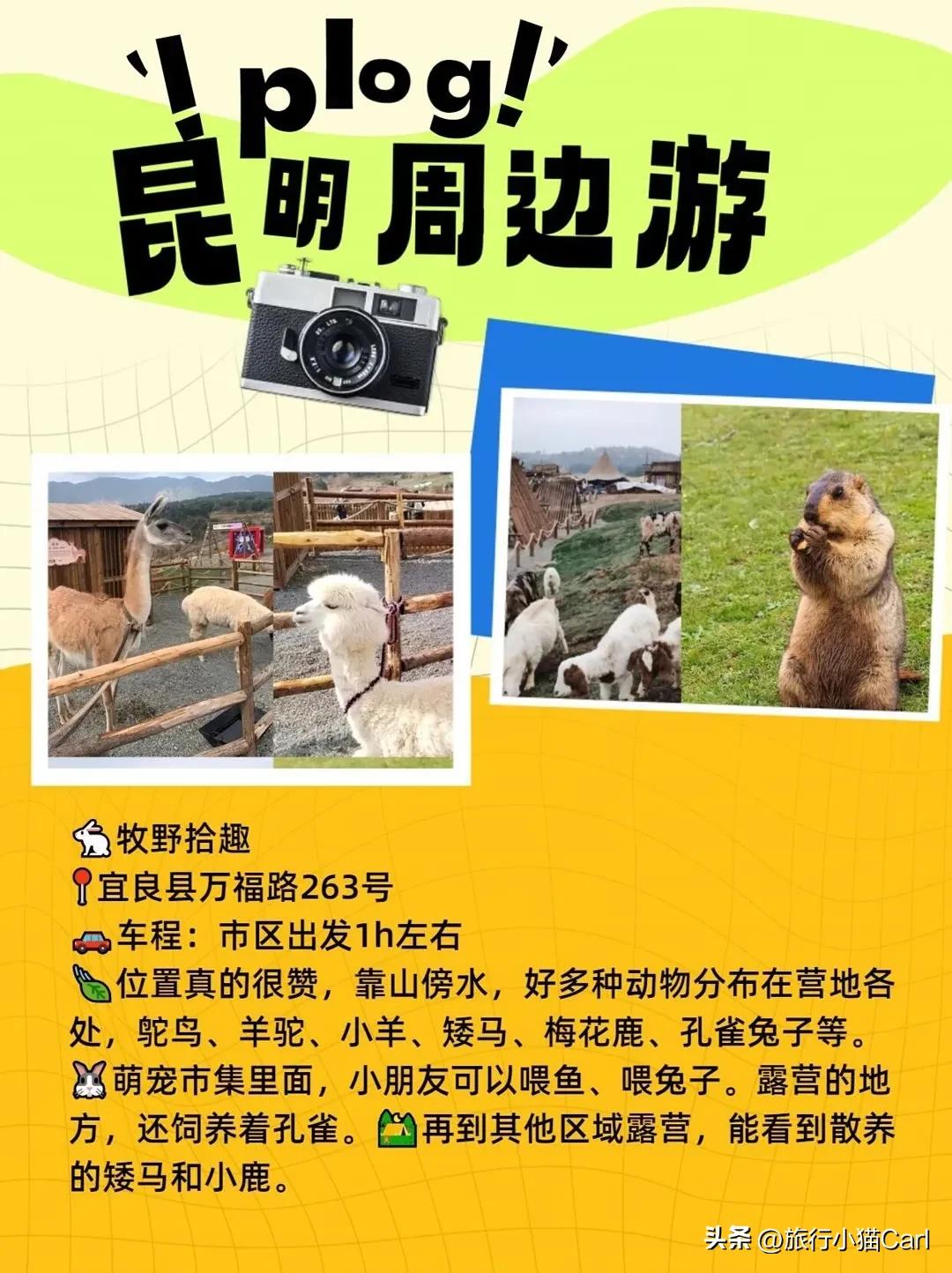 昆明及昆明周边景点,云南昆明周边游景点推荐