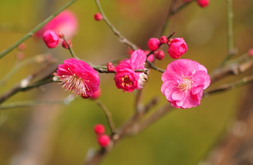 远大抱负且霸气的古诗原创,吟诗作对的经典诗句