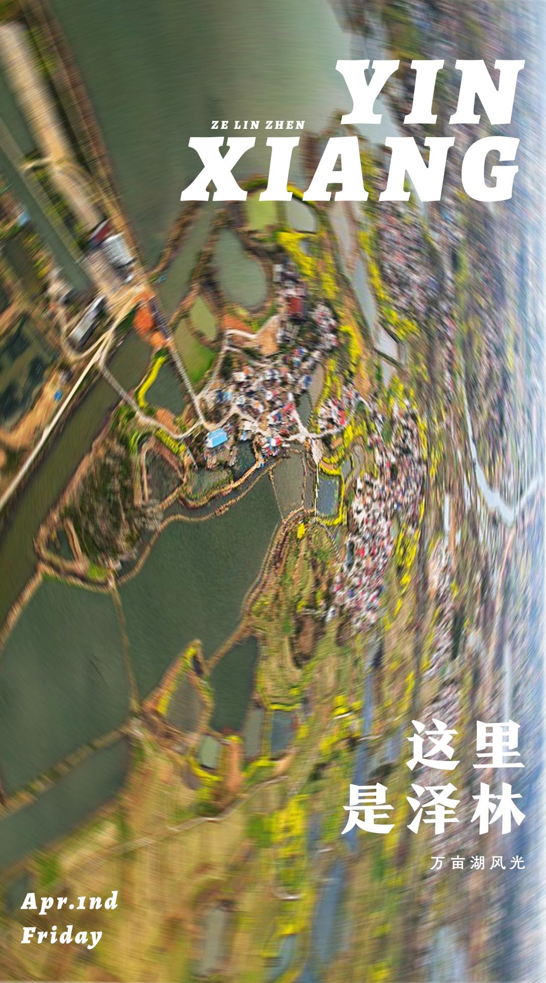 鄂州市泽林镇最新消息,鄂城区泽林镇泽林街