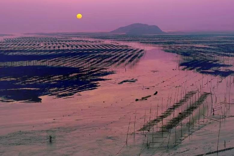 诗路花雨封底,诗路花语繁体怎么写