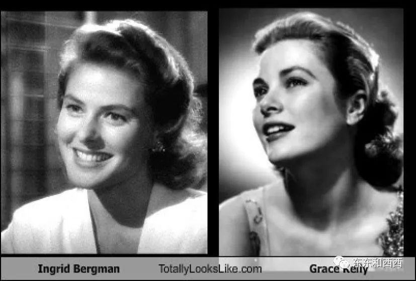 91岁养狮子走红毯拍奢侈品广告，这个优雅金发*物尤**太生猛了