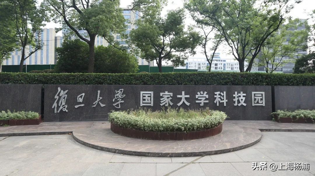 打造“马场生态圈”，这里是优秀项目的“伯乐”丨科技园区巡礼③