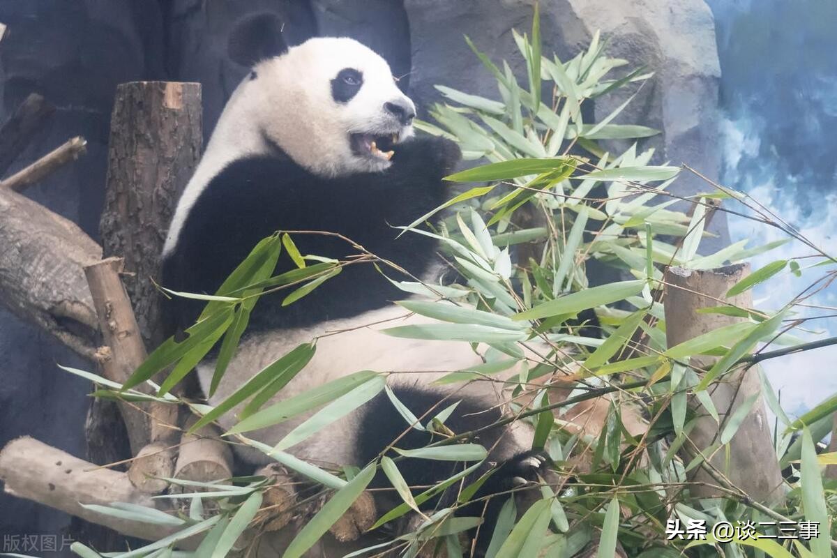 成都红色教育必去十大景点,成都大邑县十大旅游景点