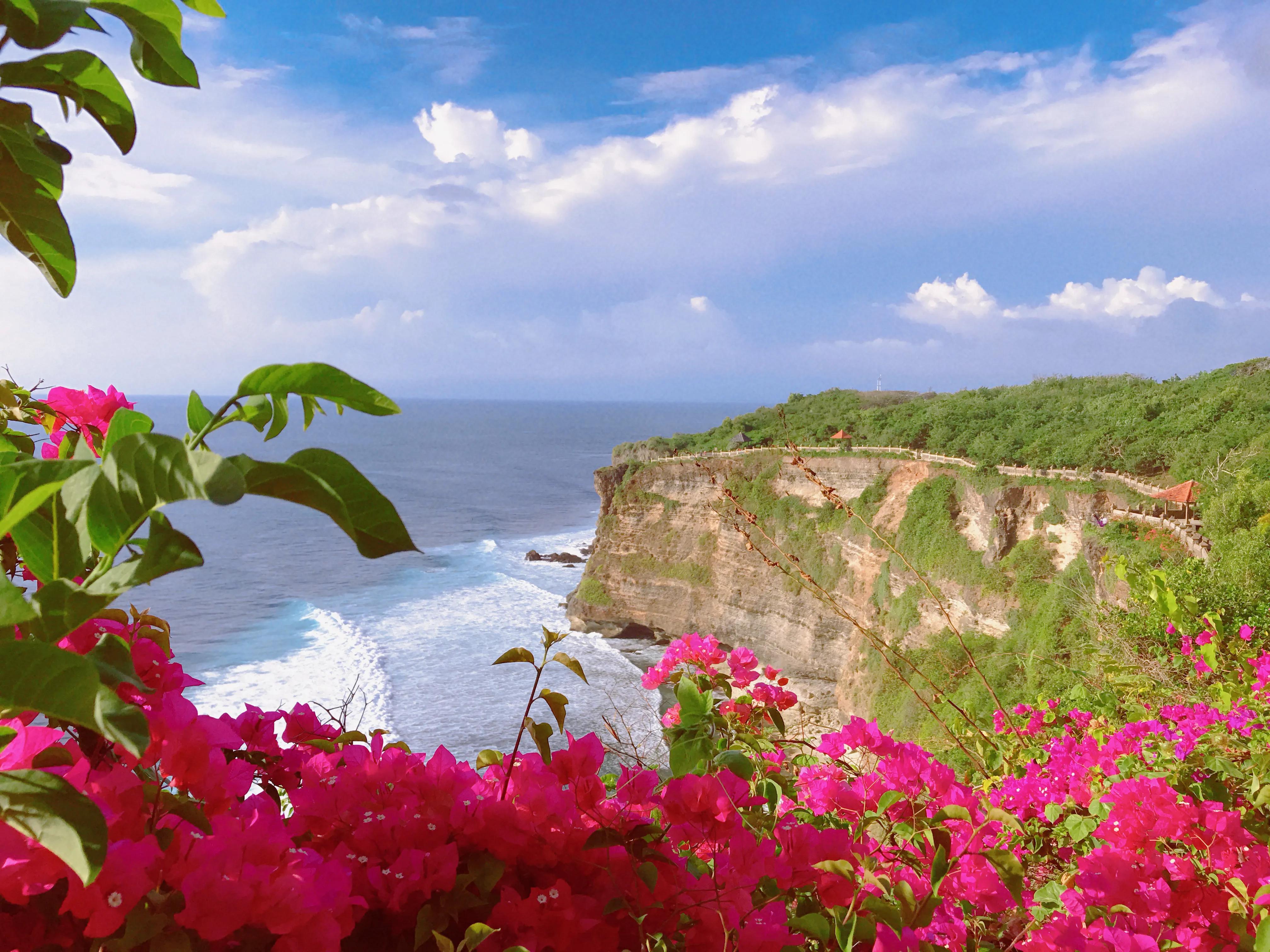 巴厘岛吸引游客的自然风光,巴厘岛什么好玩刺激