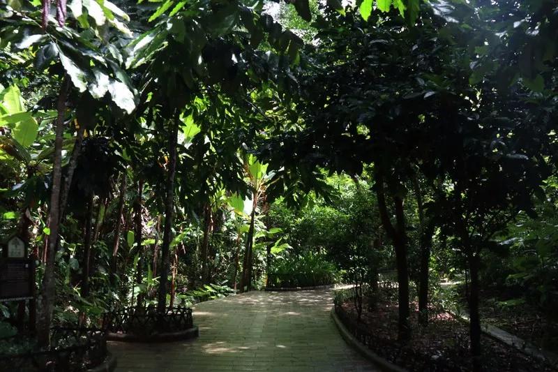 云南西双版纳旅游攻略app,云南西双版纳旅游攻略自由行12月