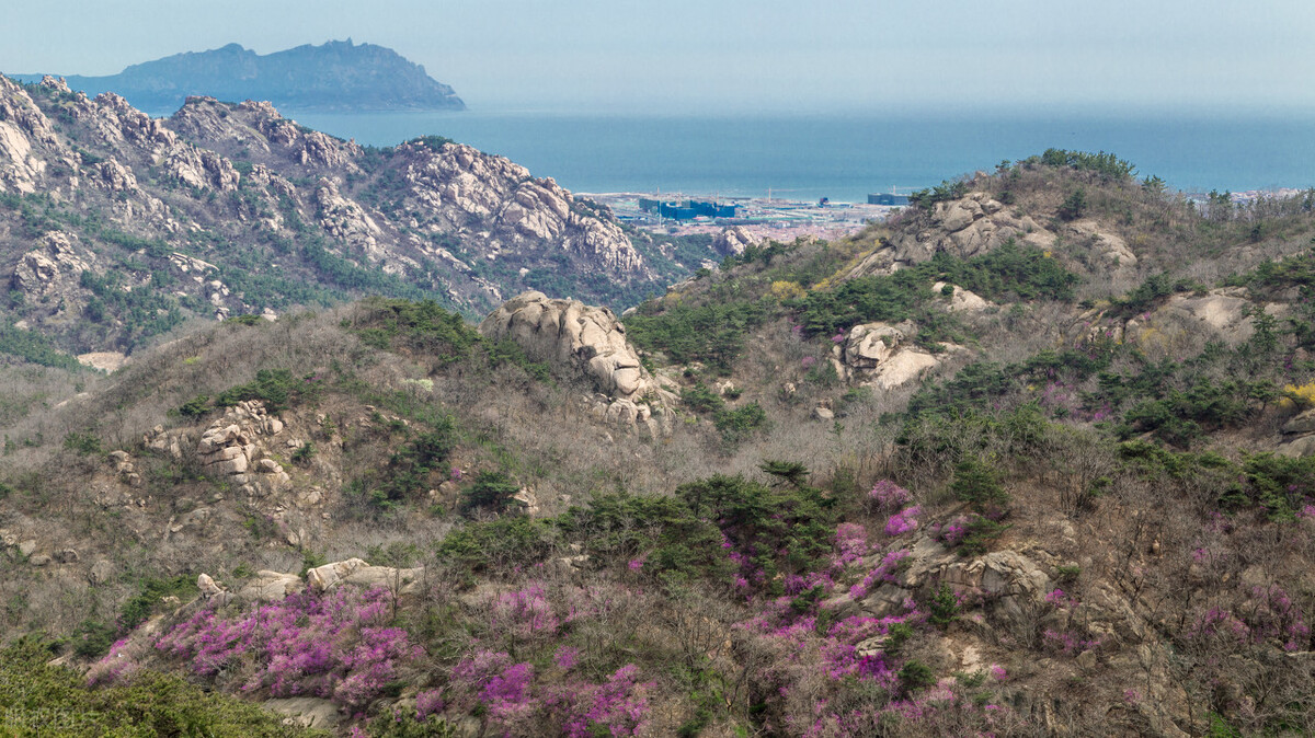 青岛旅游哪些景点需提前预约,青岛景点提前预约攻略