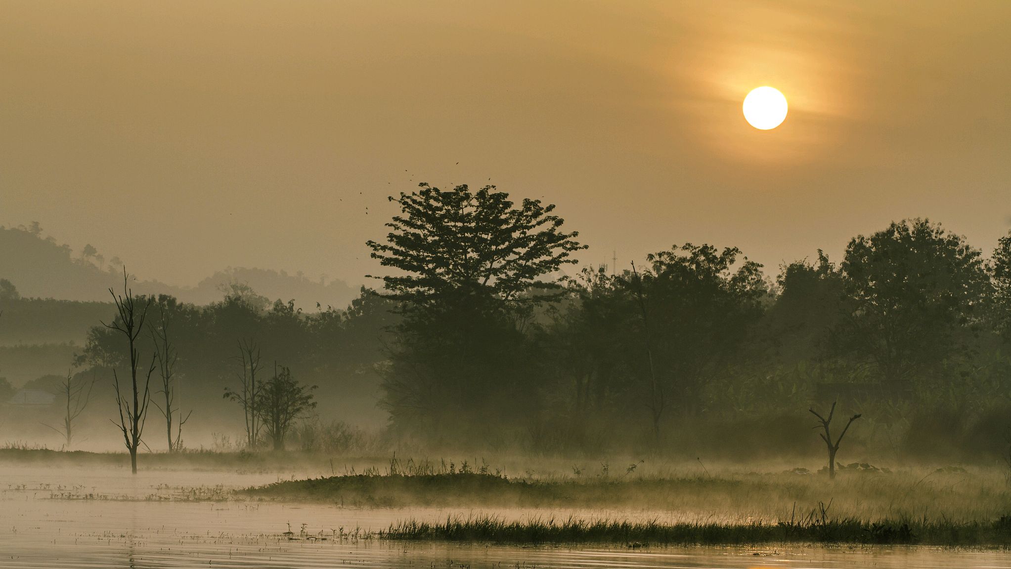 李频送友返乡过年，写下一首有故事的送别诗，值得一读