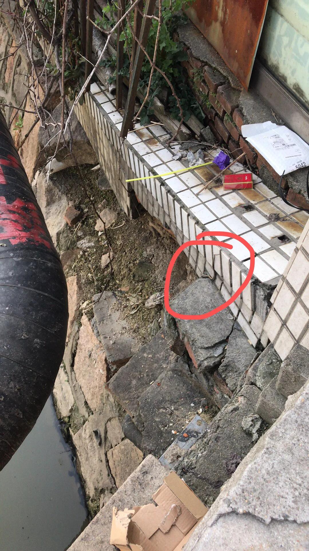 蛇不喜欢什么气味,蛇不喜欢雄黄酒