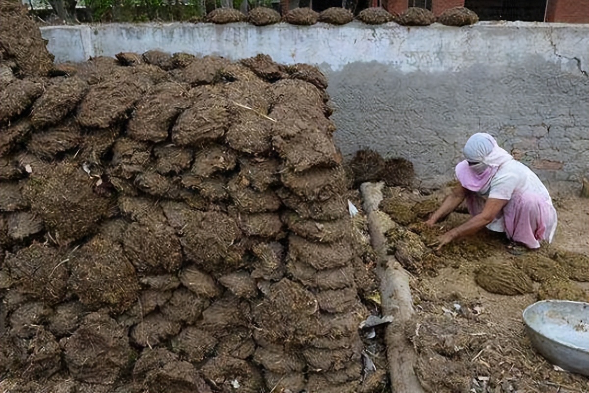 印度gdp有望超过美国吗,未来印度的gdp会超过美国吗