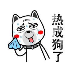 火爆外网的魔性“车座子狗”，究竟是什么梗？