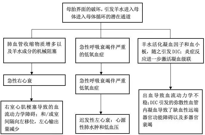 羊水栓塞怎么判断医疗事故,怀疑羊水栓塞抽什么血