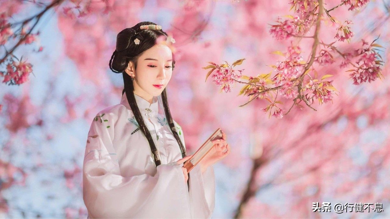 衣带渐宽终不悔全诗讲解,衣带渐宽终不悔的古诗