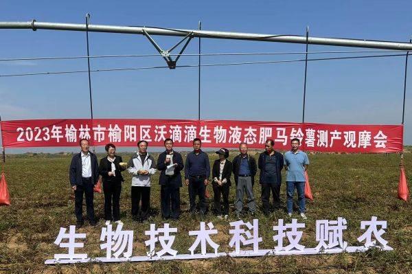 沃滴滴生物液态肥在玉米、马铃薯主产区多地刷新高产记录