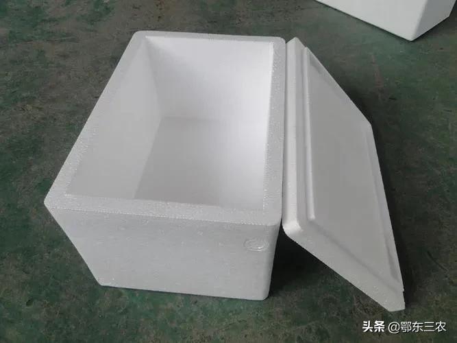 家里什么东西可以用来孵化小鸡,孵小鸡教程简单泡沫箱