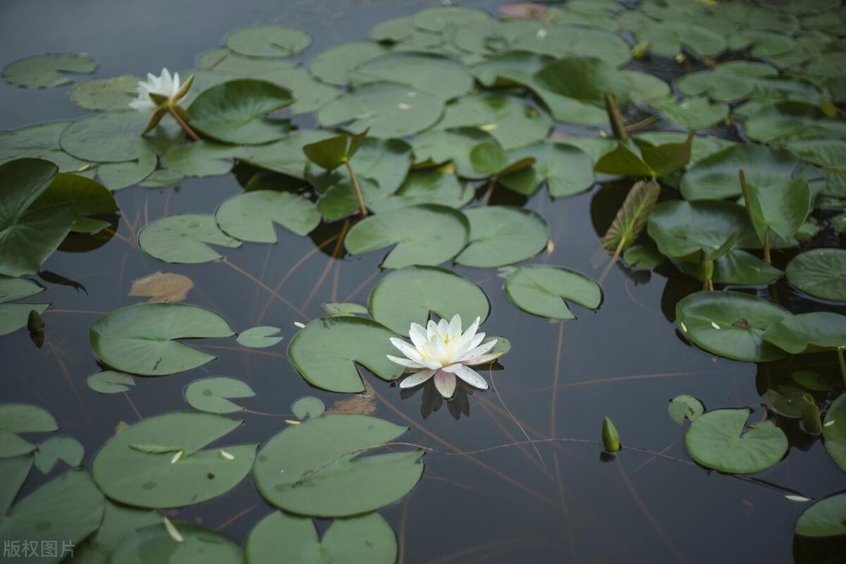 七年级数学奥数题型及解题技巧,初中奥数解题方法技巧100讲