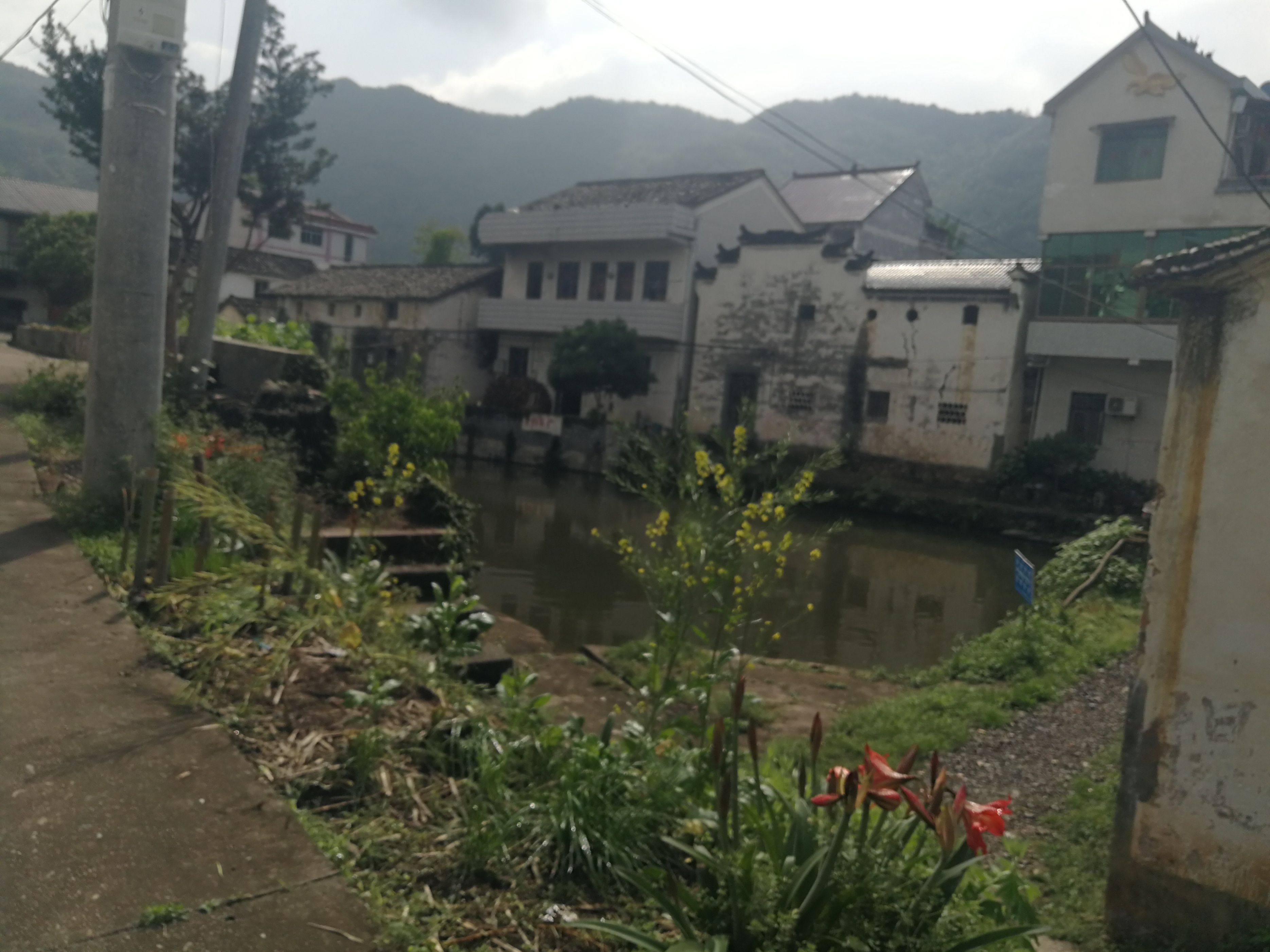 潘村古宅图片,燕窝洞风水