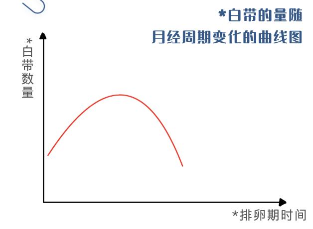 妇科常识知识大全图片,女生必须知道的7条妇科常识