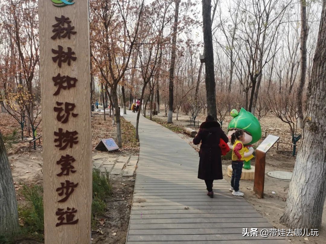 骑行国家森林公园,徒步骑行森林公园