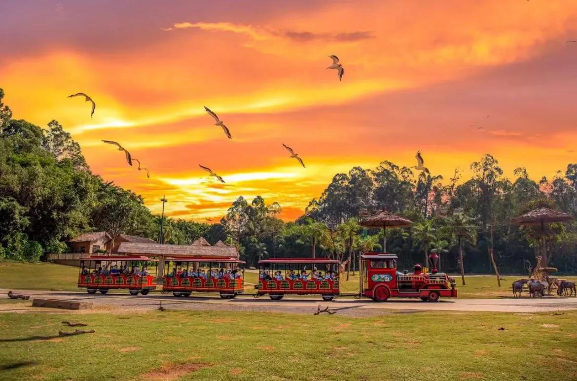 一篇文章告诉你：广州长隆跟珠海长隆有什么不一样？