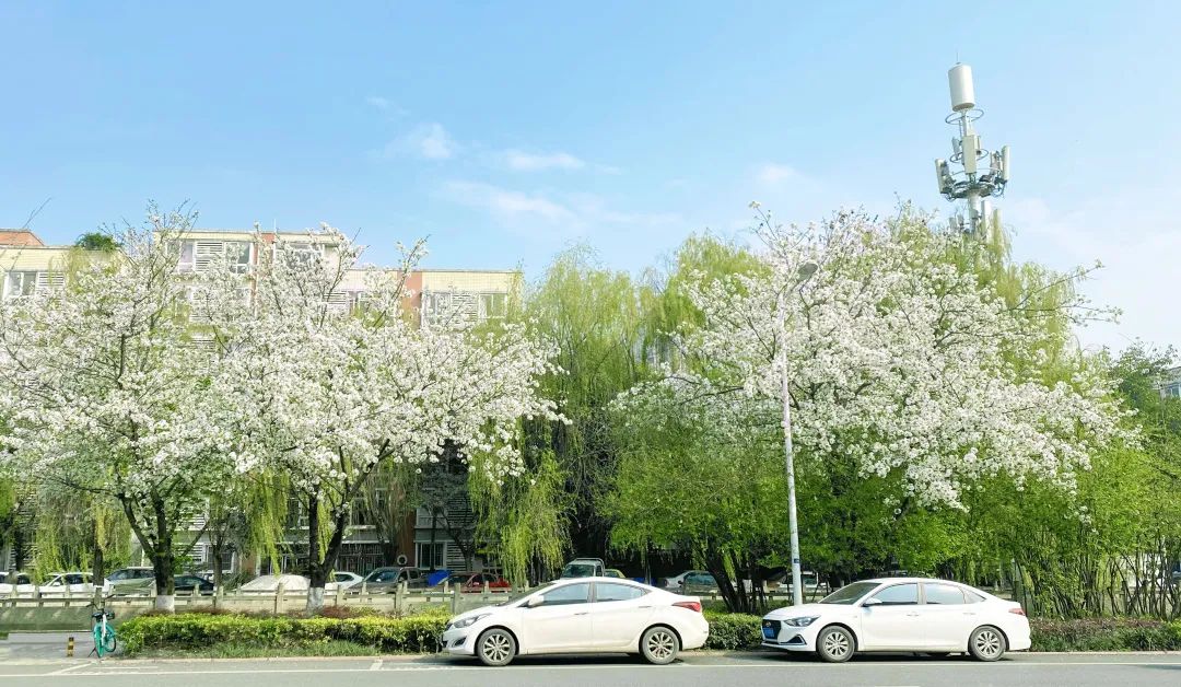 春暖花开运动好时节,春暖花开该开始运动了