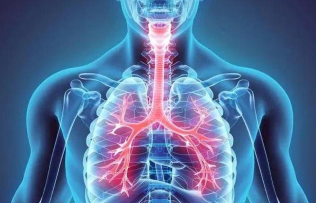 打桩机水鬼捞钻头3d演示,为什么打桩机一定要人下水里面捞