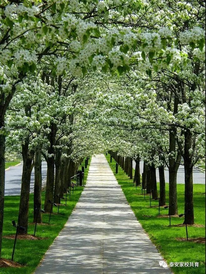 怎样才能学好语文的方法,怎样才能学好语文课