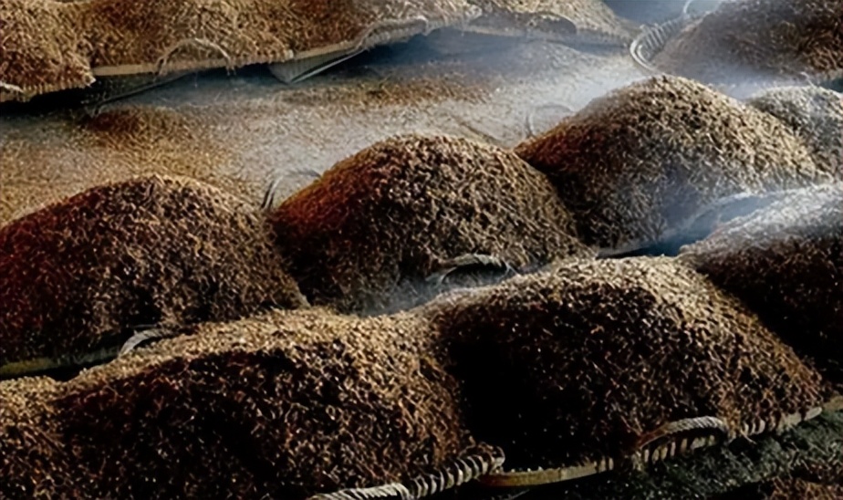 酱香热掀起风波，大家都喝酱香酒，那你真的了解“12987”工艺？