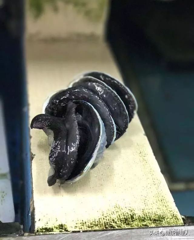 世界顶级海鲜食材,世界顶级的海鲜视频