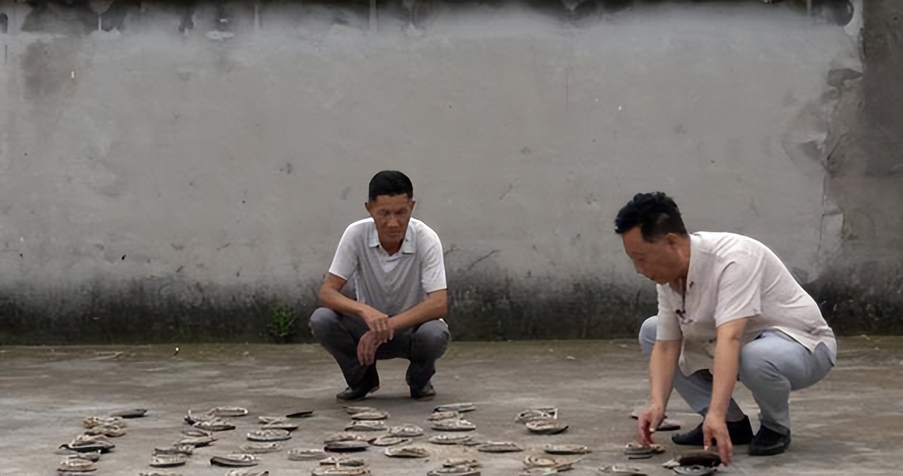 私自养野生蛇,农户私放1000条眼镜蛇