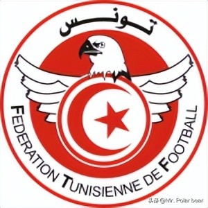 卡塔尔世界杯决赛圈非洲球队巡礼:突尼斯
