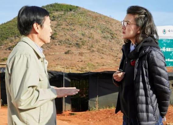 董倩为什么被称为央视名嘴,央视董倩出了什么事