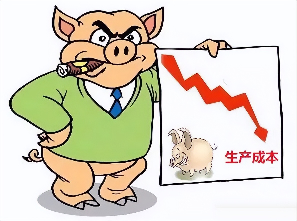 养猪做到这几点想不赚钱都难,养猪前景分析养猪什么时候不亏
