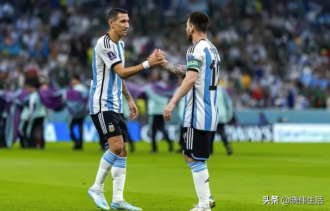 小白看足球指南,小白看大乐透