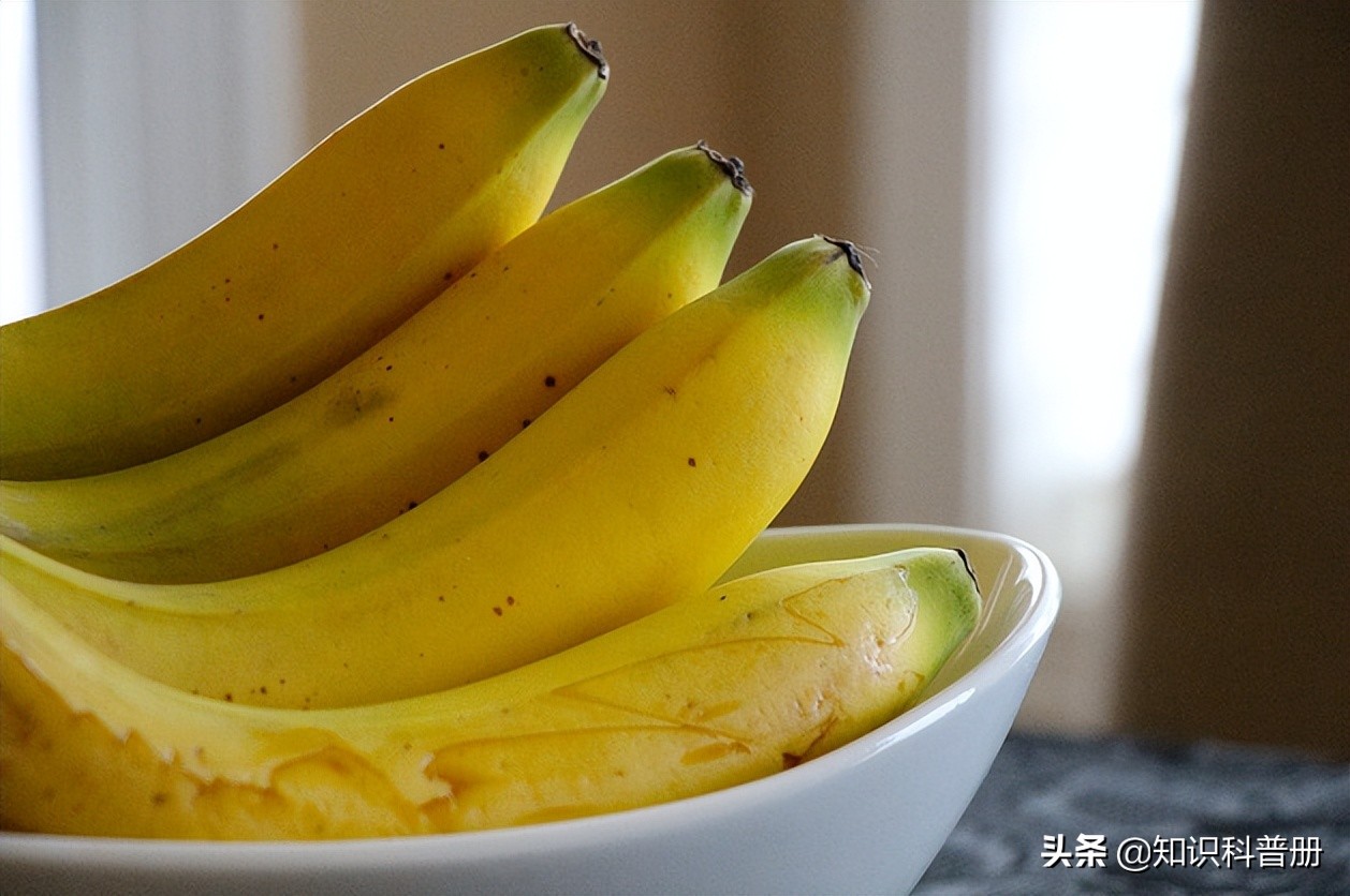十种能吃的水果,哪种水果最健康