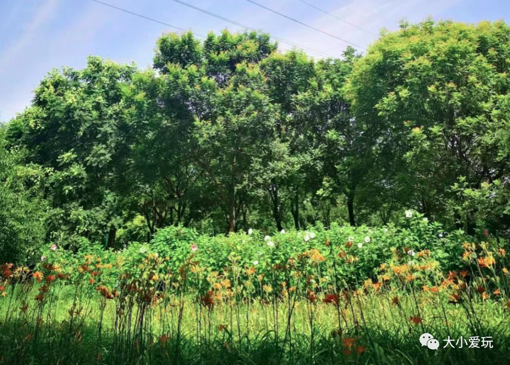 没想到帝都还有这么多各具特色的运动公园！骑行、足球、泵道……