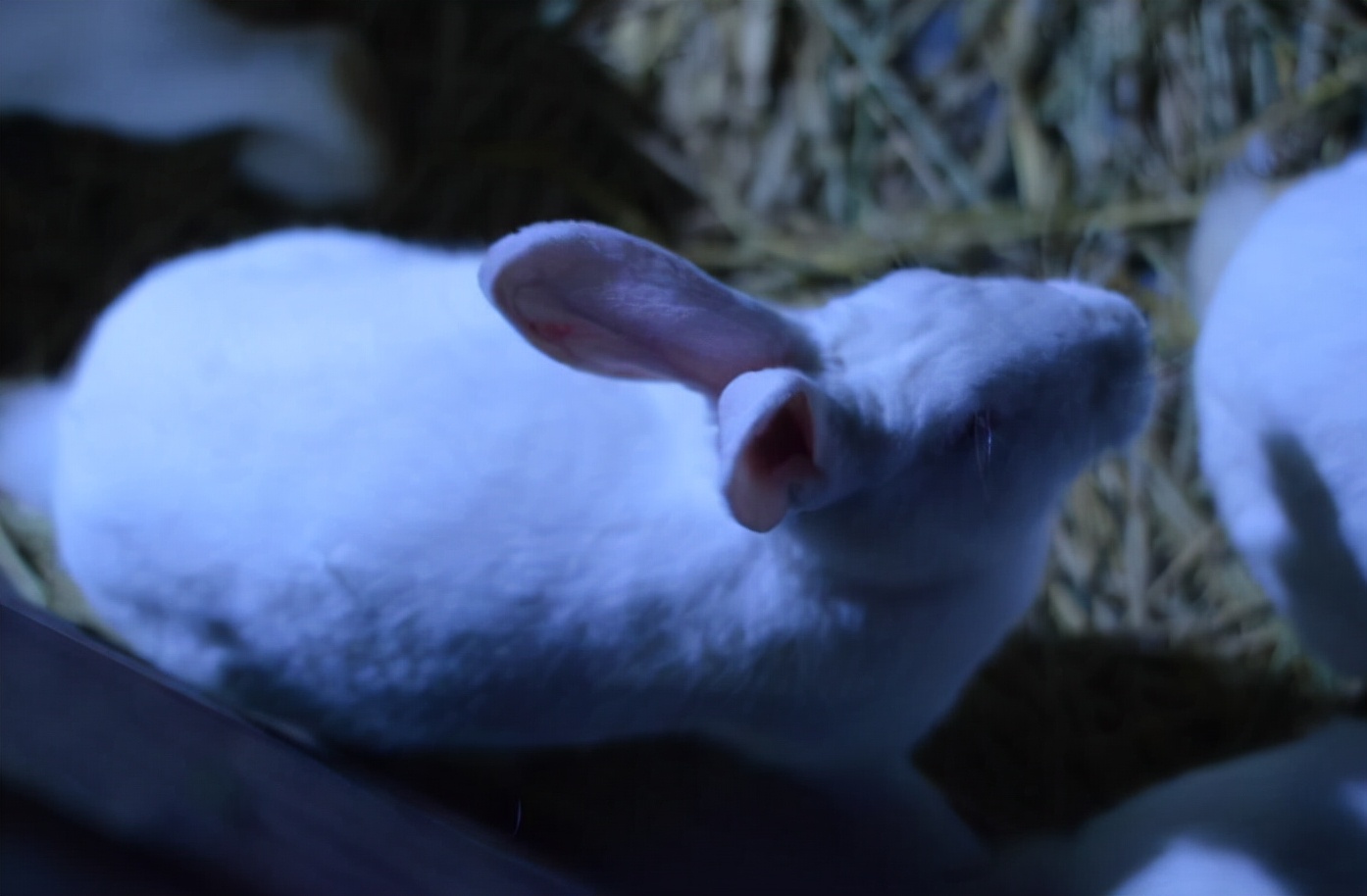 金鹰海洋世界常州万达,常州金鹰海洋世界怎么样好玩吗