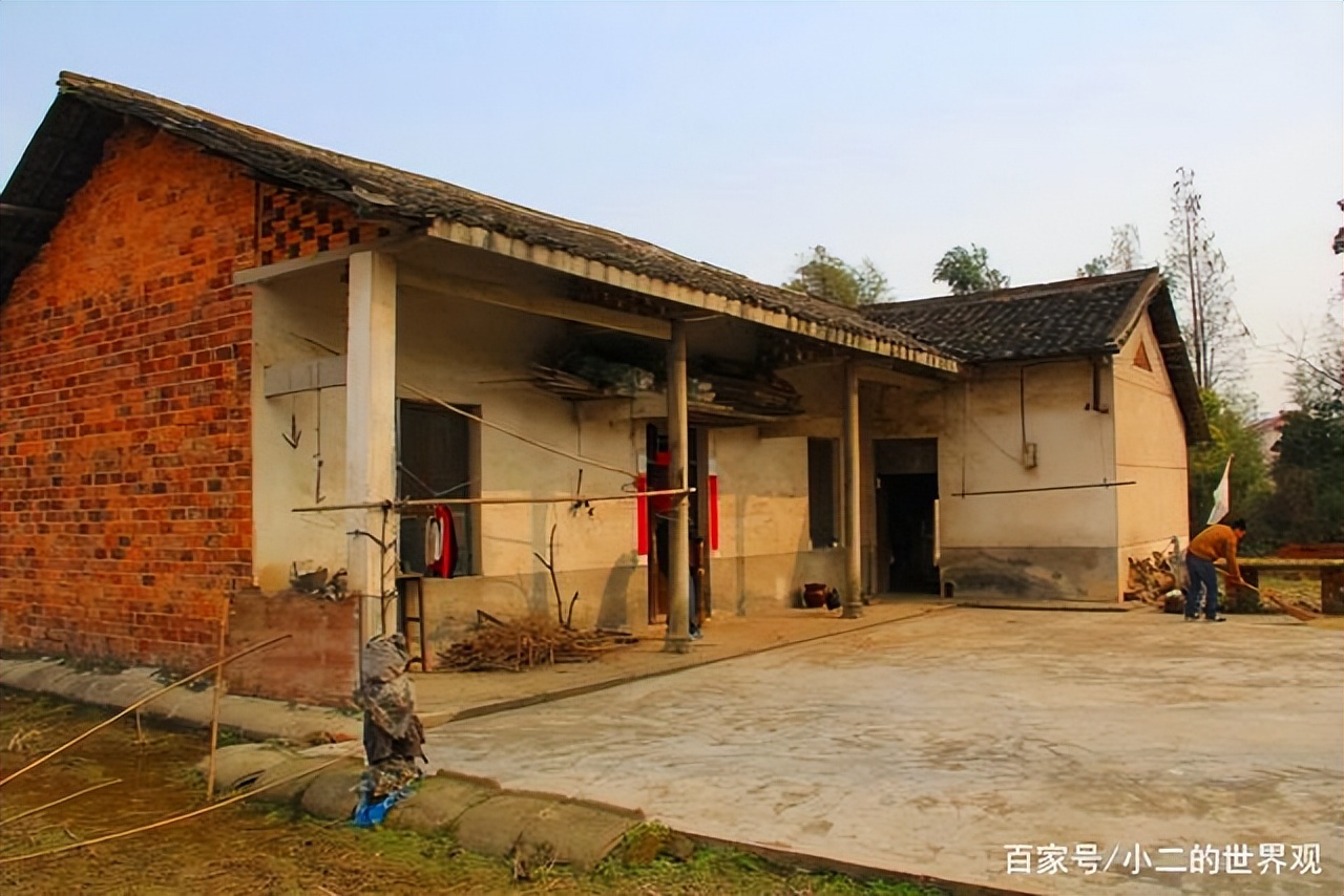 树高千丈叶落归根的根是什么意思,叶落归根的根是什么意思