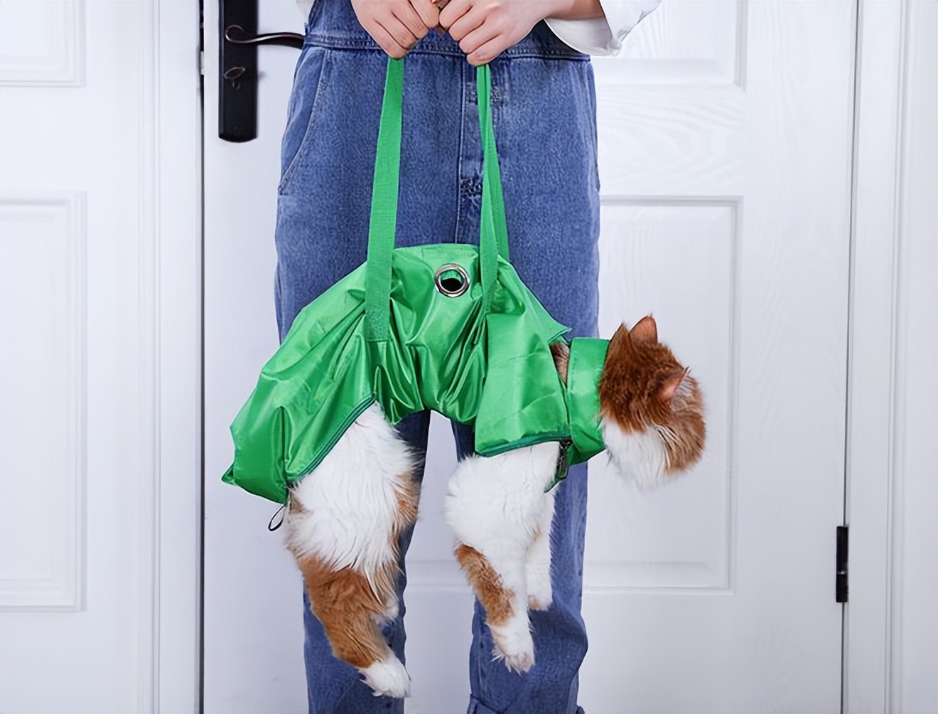 保定养猫的正确方法,猫咪是如何抓痒的