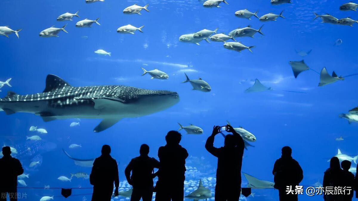 广东五月适合去哪里旅游,广东12月旅游攻略必去十大景点