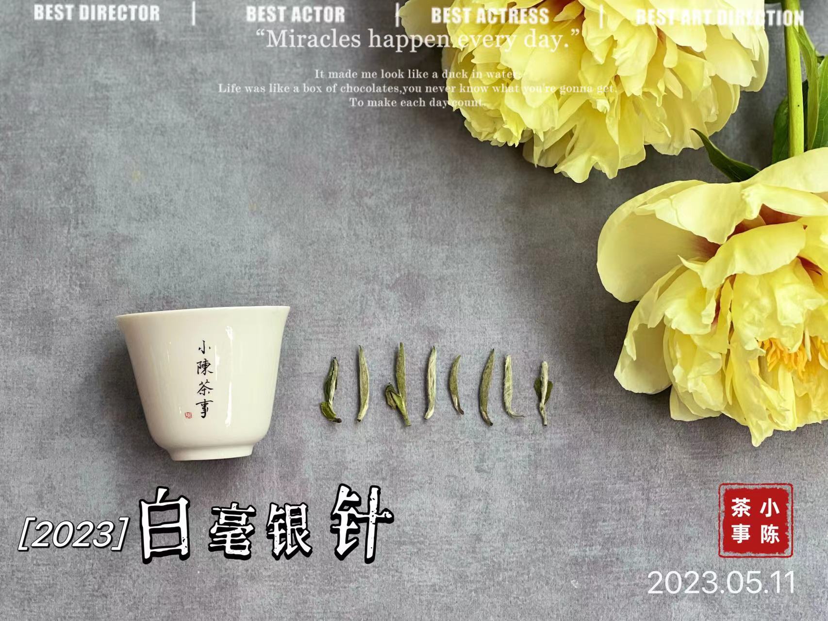 现在喝白茶的价目表,新手入门级白茶推荐