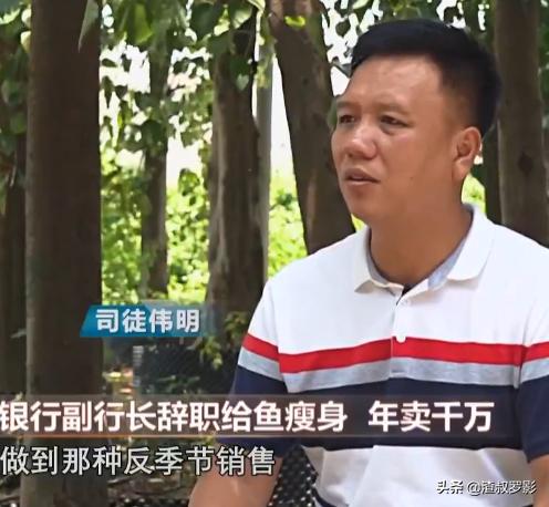 银行副行长辞职赚钱,中国银行副行长辞职