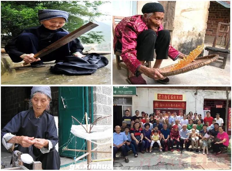 巴马百岁老人养生之道,巴马养生之旅