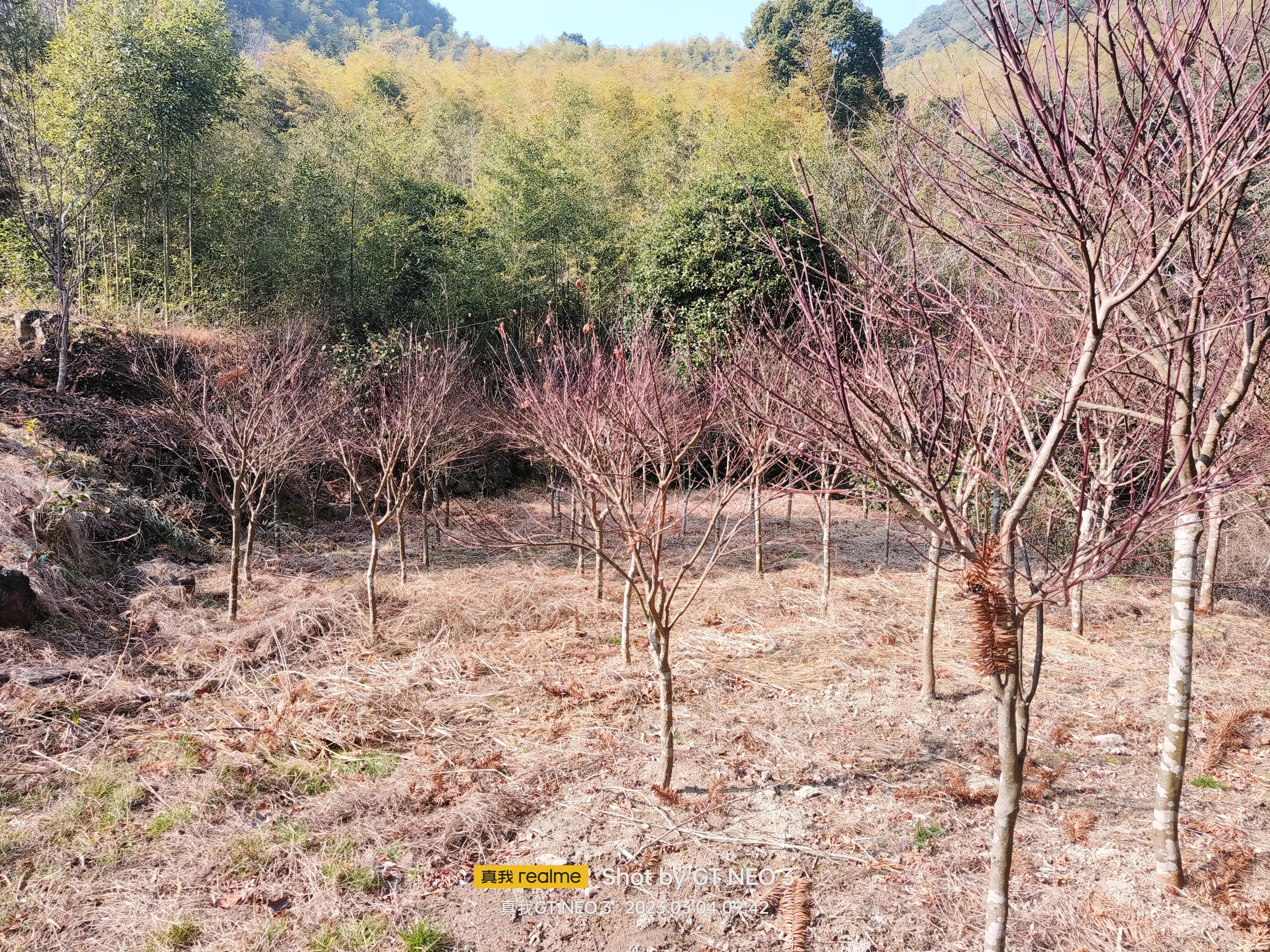 宁波五龙潭攻略,宁波五龙潭湖